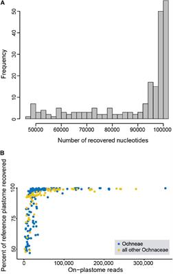 Resolving Recalcitrant Clades in the Pantropical Ochnaceae: Insights From Comparative Phylogenomics of Plastome and Nuclear Genomic Data Derived From Targeted Sequencing
